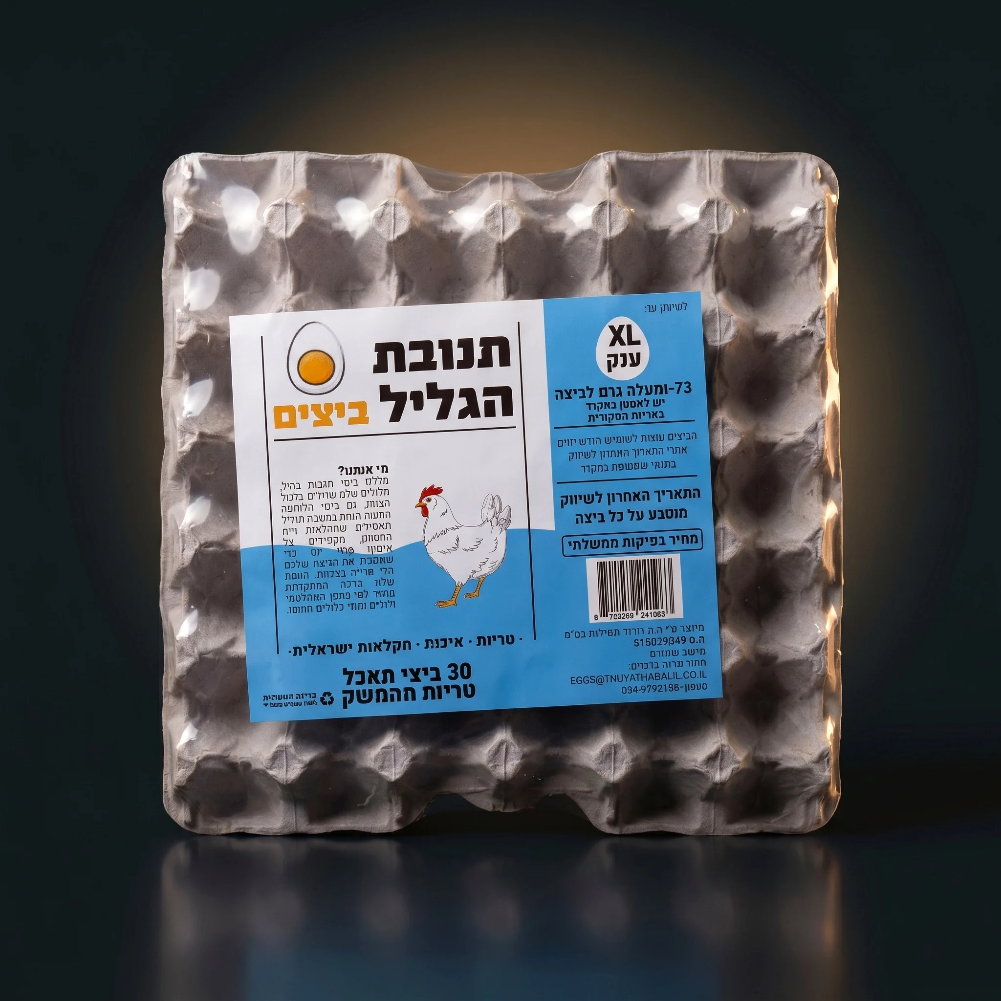 ביצים
